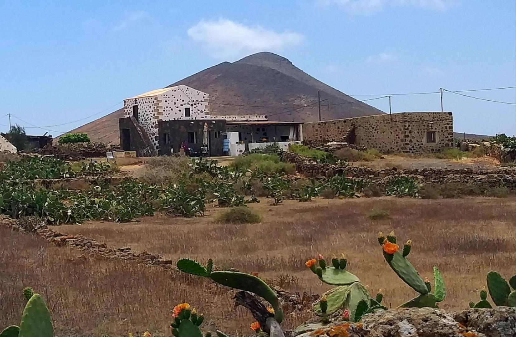 Lovely Cottage La Oliva Exterior photo